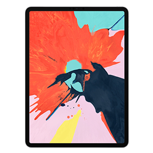 iPad Pro 12.9 2018 Cases